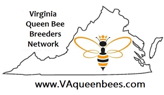 Virginia Queen Bees