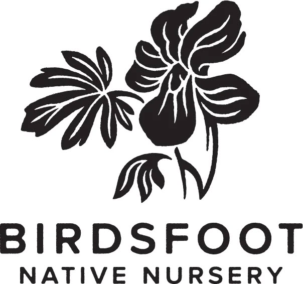 Birdsfoot Native Nursery