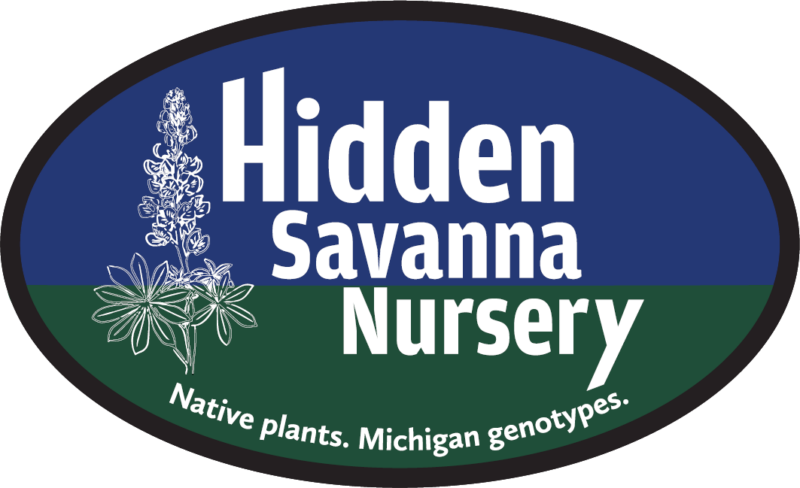 Hidden Savanna Nursery