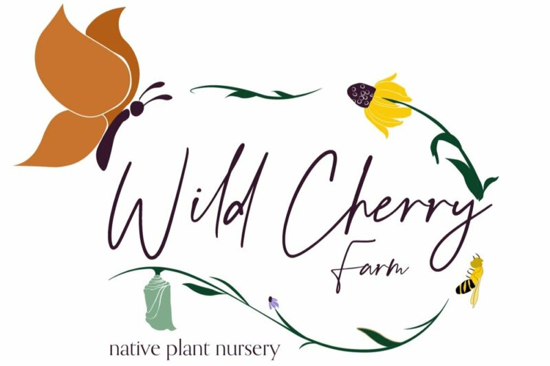 Wild Cherry Farm