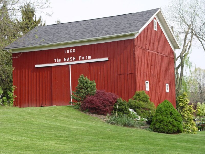 Nash Nurseries